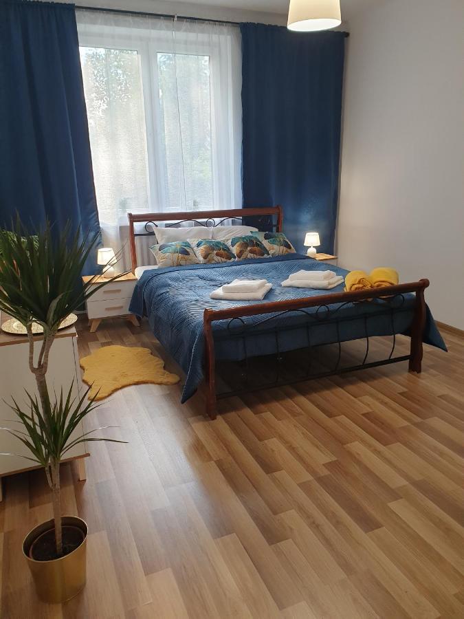 Lägenhet Comfy & Cozy Slodowiec *