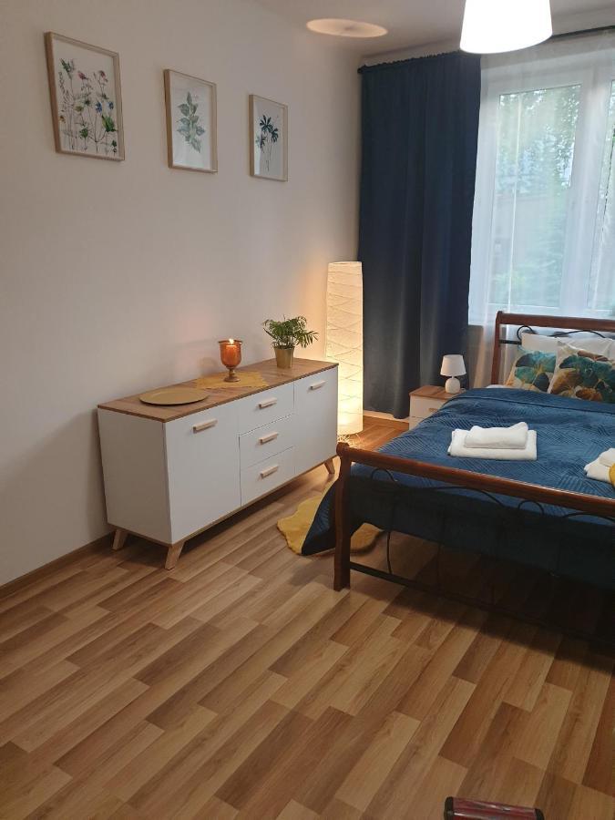 Comfy & Cozy Slodowiec