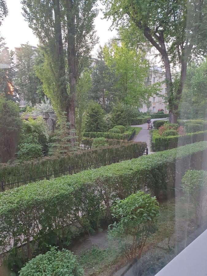 Comfy & Cozy Slodowiec Warszawa